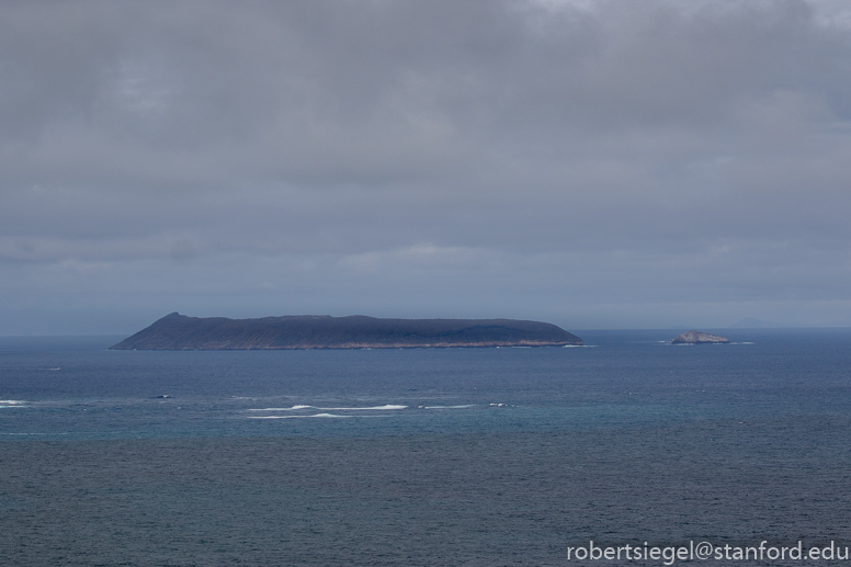 galapagos